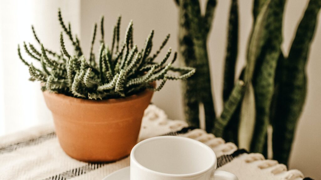 Como harmonizar a decoração?