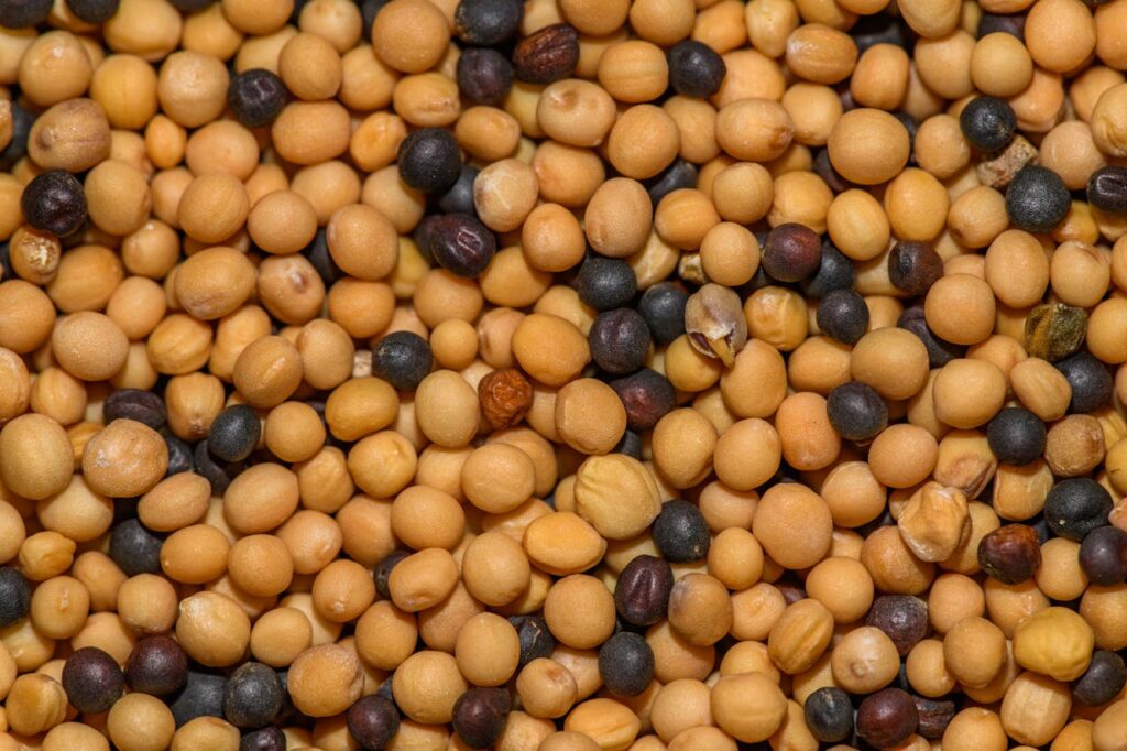 benefícios da proteína de soja